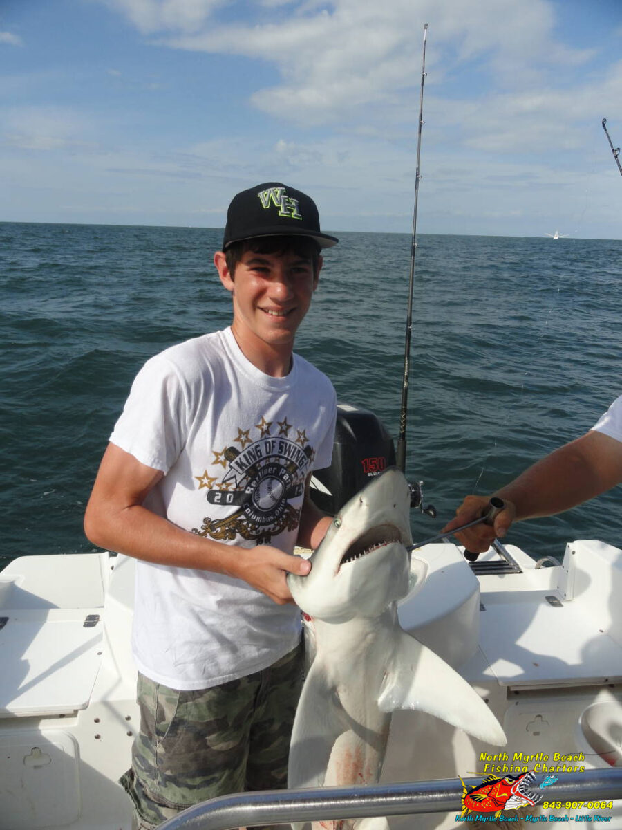 Get Your Adrenaline Pumping with Our Shark Fishing Charters!