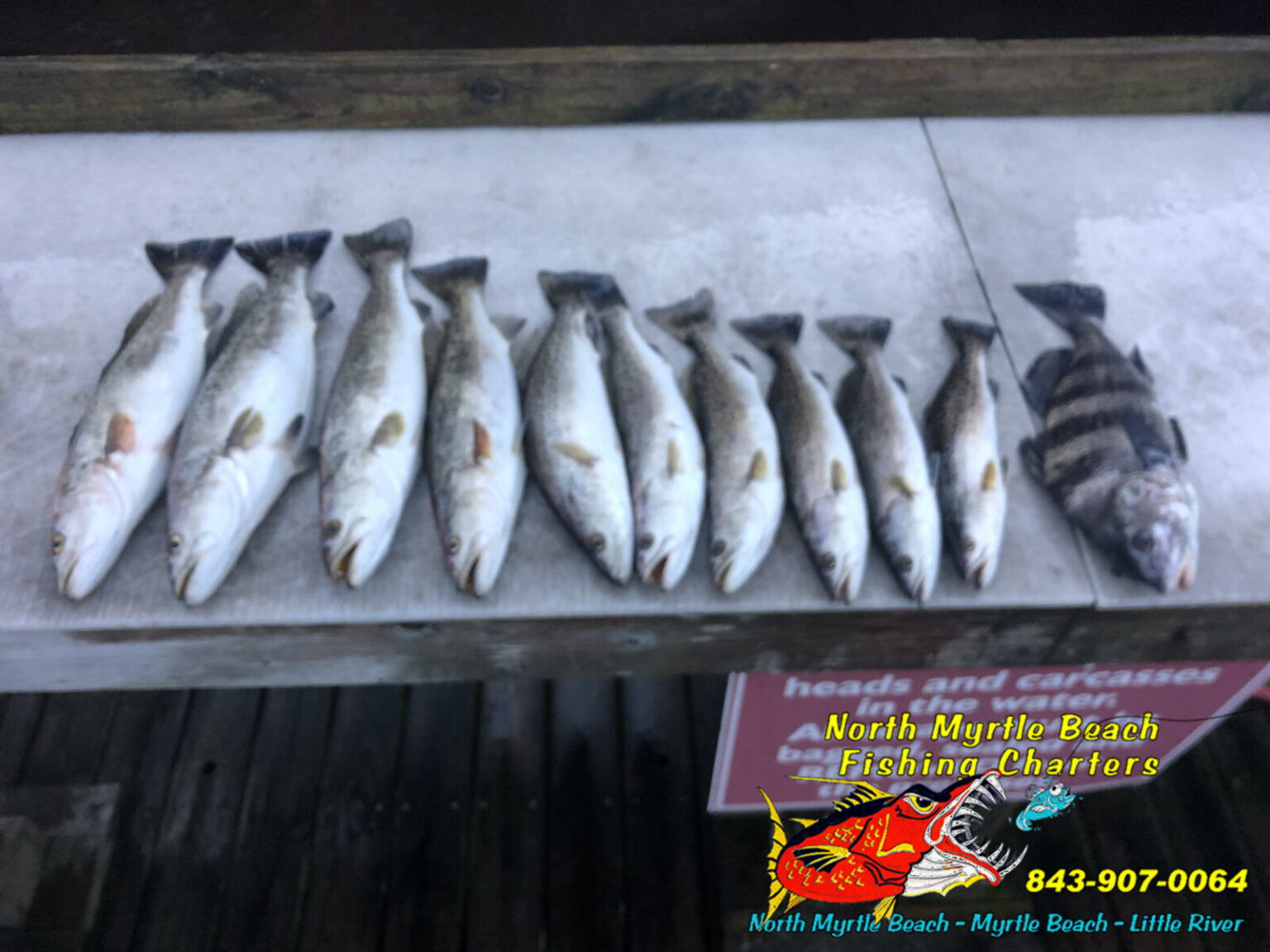 Myrtle Beach Fishing