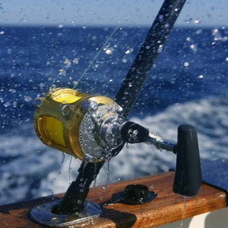 Fishing rod on a fishing charter