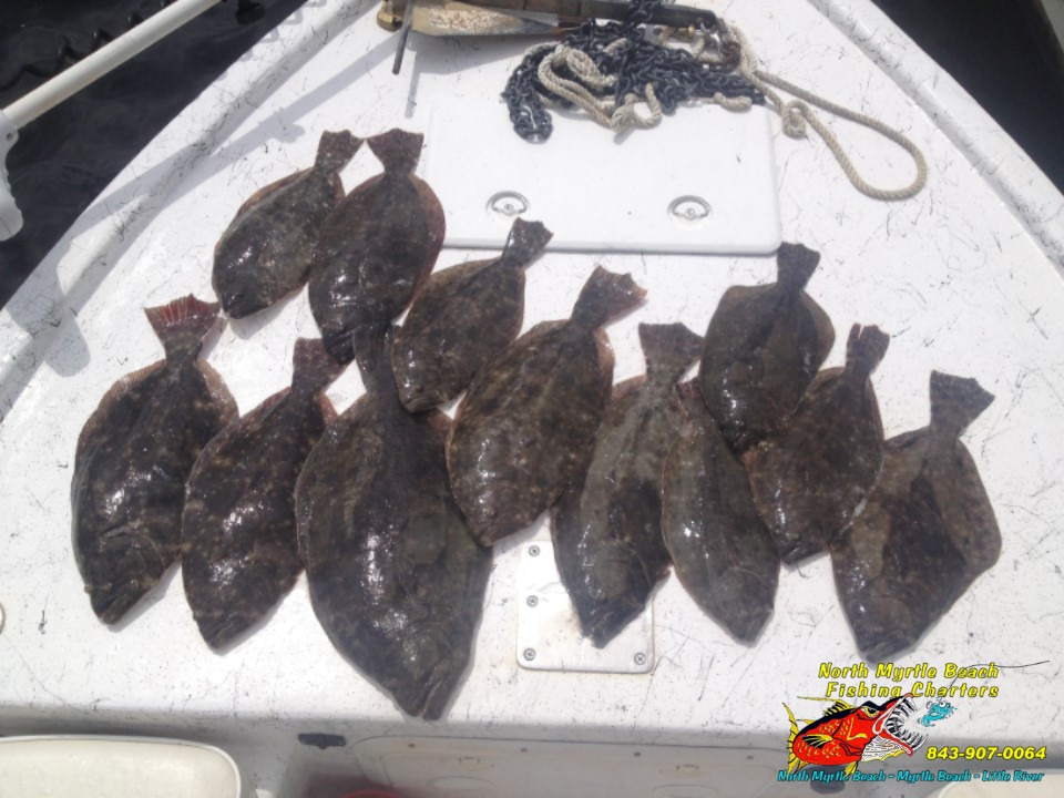 Flounder lay on deck of boat from a inshore fishing charter myrtle beach