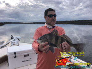 man holding a black drum on the bow of a scout bay boat with north myrtle beach fishing charters