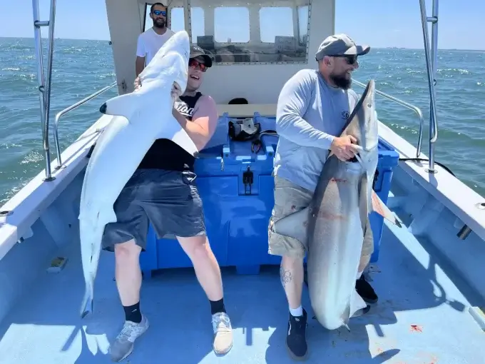 Two men holding blacktip sharks on a shark fishing charter in Myrtle Beach