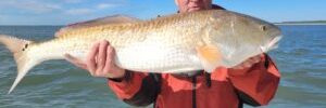 guy holding a bull red drum aka redfish on a inshore fishing charter in myrtle beach