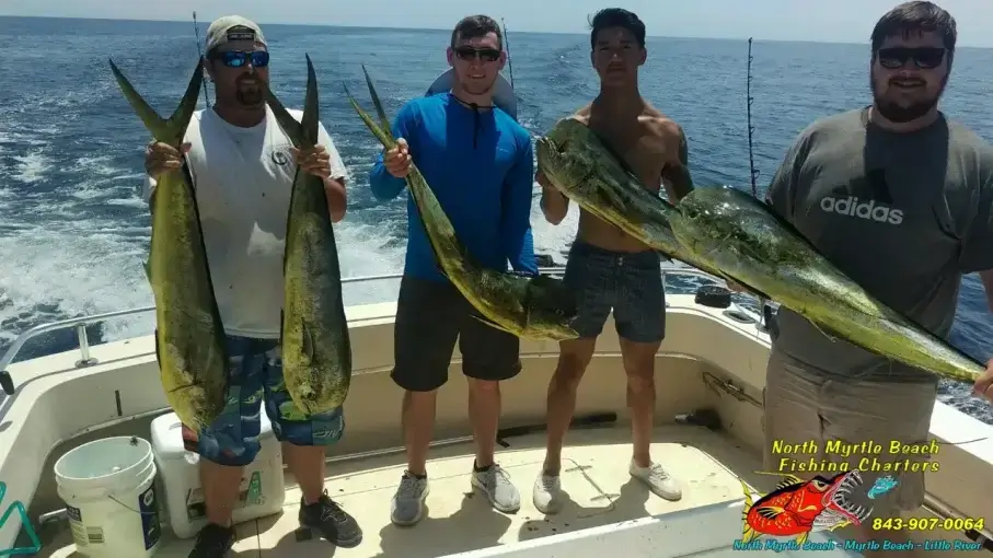 Four anglers with mahi mahi on a Gulf Stream fishing charter in Myrtle Beach