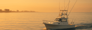 Popular Fish Species in North Myrtle Beach Charters