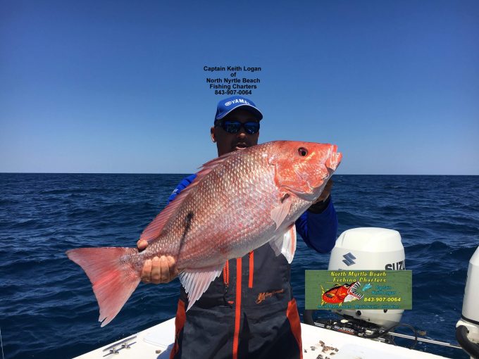 Large red snapper held aboard a North Myrtle Beach Fishing Charters boat offshore