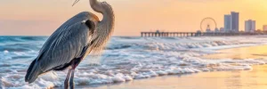 Best Coastal Wildlife Sightings Near Myrtle Beach