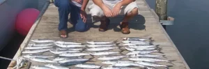 Licensed local captain with clients holding Spanish mackerel on a private charter in North Myrtle Beach