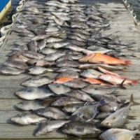 Deep Sea Charter Fishing North Myrtle Beach Deep Sea Charters