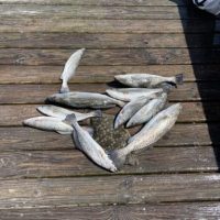 Red Drum fishing with North Myrtle Beach Fishing Charters Red Drum fishing with North Myrtle Beach Fishing Charters