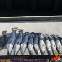 Inshore fishing with North Myrtle Beach Fishing Charters Inshore fishing with North Myrtle Beach Fishing Charters