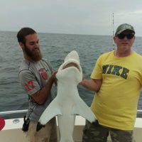 Shark Fishing Charters In Myrtle Beach SC Shark Fishing Charters In Myrtle Beach SC