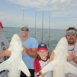 Shark Fishing Charters Myrtle Beach Fishing Sharks
