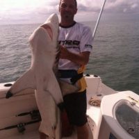 Shark Fishing Charters In Myrtle Beach SC Shark Fishing Charters In Myrtle Beach SC
