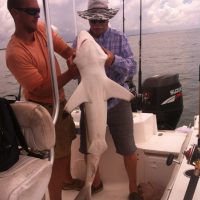 shark fishing at myrtle beach south carolina shark fishing at myrtle beach south carolina