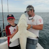 Shark Fishing Charters In Myrtle Beach SC Shark Fishing Charters In Myrtle Beach SC