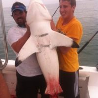 Shark Fishing In Myrtle Beach SC Shark Fishing In Myrtle Beach SC