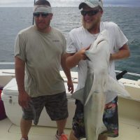 User comments Shark Fishing In Myrtle Beach South Carolina