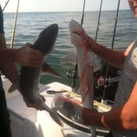 Shark Fishing Charters In Myrtle Beach SC Shark Fishing Charters In Myrtle Beach SC